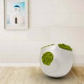 Vaso Decorativo Design Luna Made in Italy