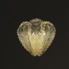 Applique Classica in Vetro Veneziano e Metallo Made in Italy - Artemide Viadurini
