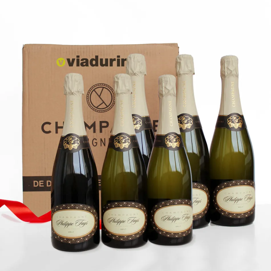 Champagne Cuvee esclusiva per Viadurini confezione 6 bottiglie "Champagne de Vignerons" Viadurini