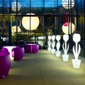 Decorazione d'Arredo Luminosa per Interni di Design, 2 Pezzi - Tulip by Myyour