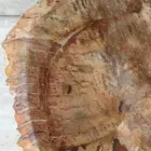 Lavabo bagno in legno fossile da appoggio Star, pezzo unico di design Viadurini