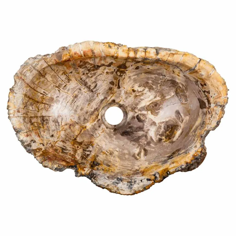 Lavandino da appoggio prodotto a mano in legno fossile, Neviglie Viadurini