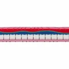 Materasso Singolo in Memory di Qualità Alto 25 cm Made in Italy – Platinum Viadurini
