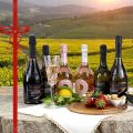 La Selezione Viadurini 6 Bottiglie Prosecco DOC Made in Italy