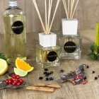 Profumatore Ambiente Fragranza Ambrata 200 ml con Bastoncini - Sassidimatera Viadurini