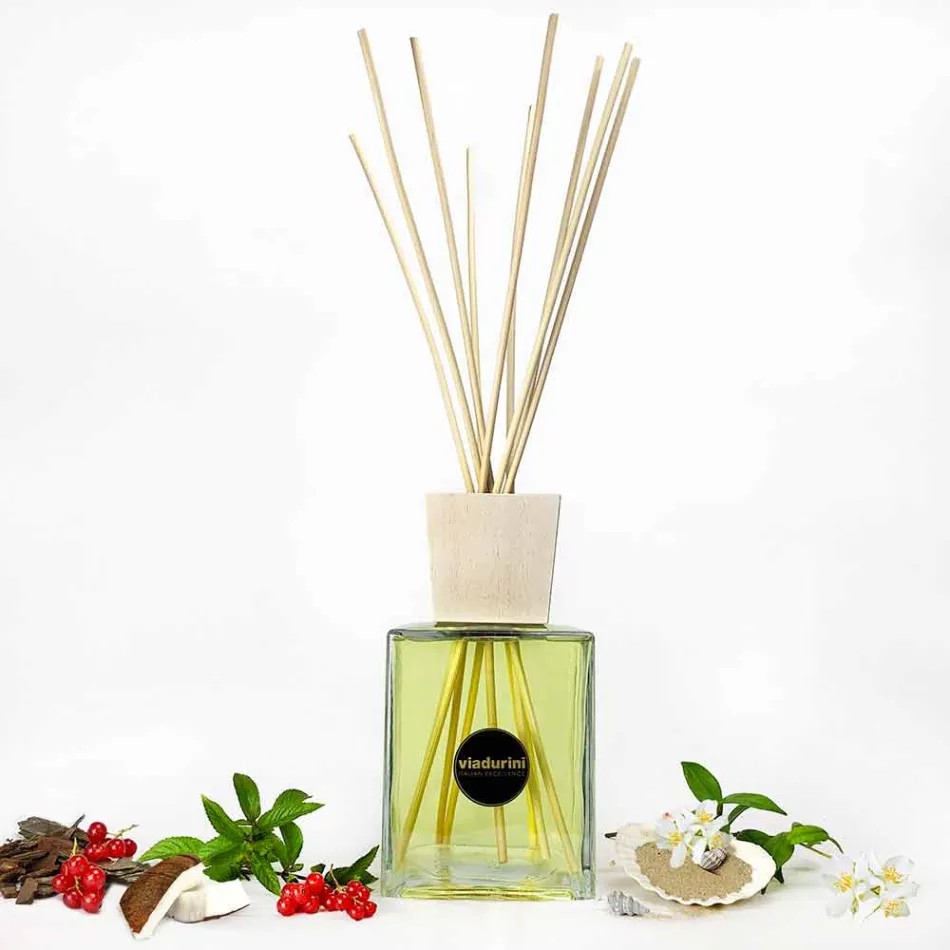 Profumatore Ambiente Vaniglia e Mou 2.5 Lt con Bastoncini - Sabbiedelsalento Viadurini