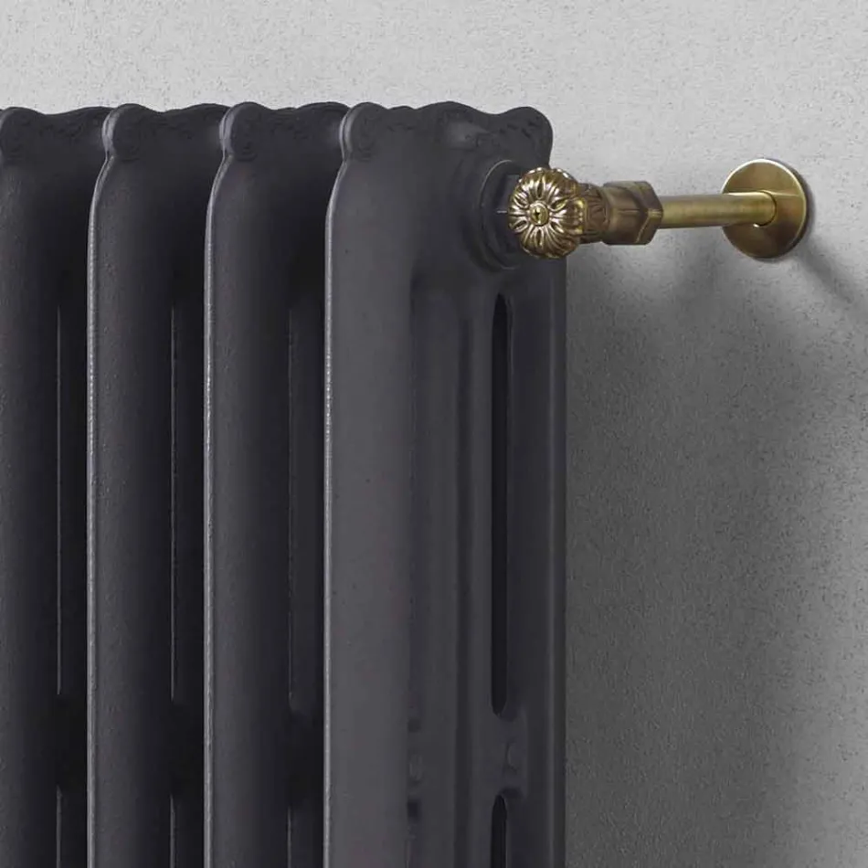 Radiatore di Design 5 Elementi Lisci in Ghisa da Terra fino 1062 W - Barocco Viadurini