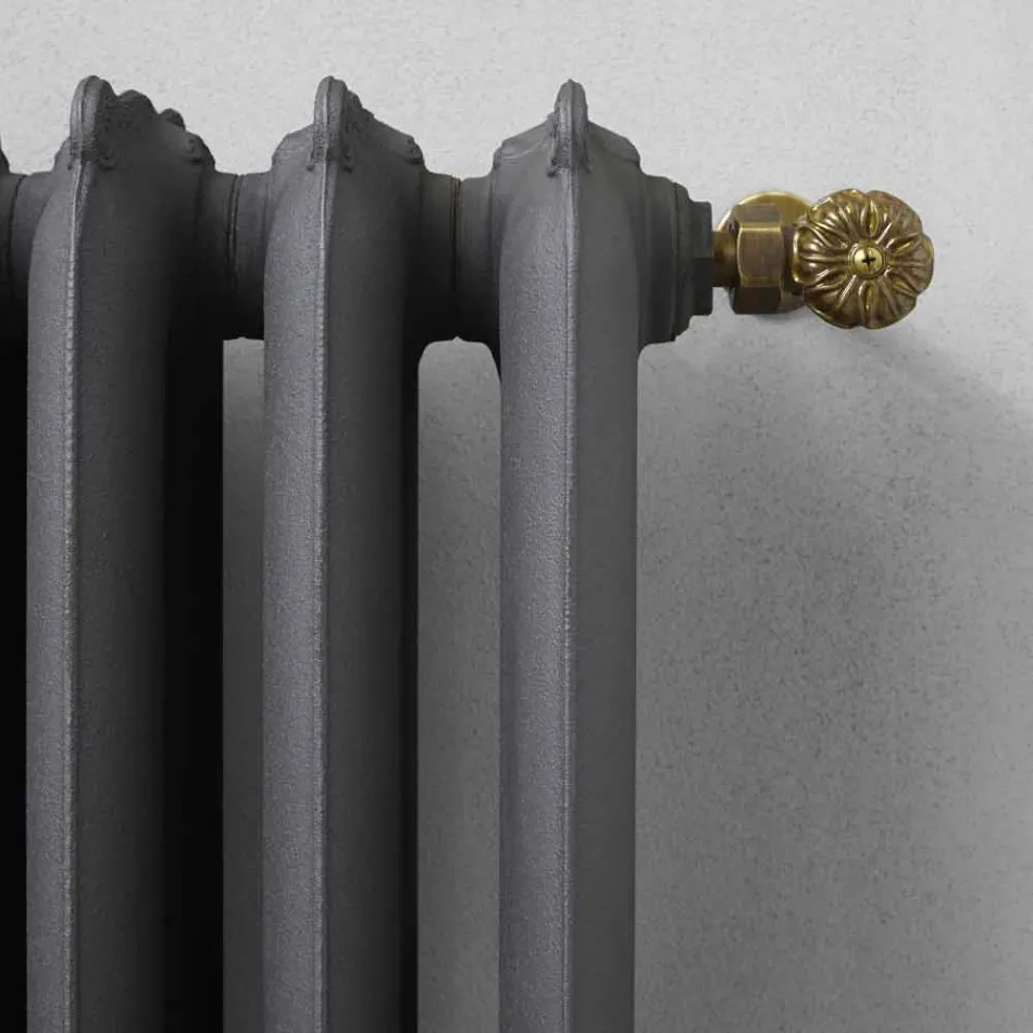 Radiatore di Design 5 Elementi Lisci in Ghisa da Terra fino 1062 W - Barocco Viadurini