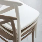 Sedia da Interno e Esterno Impilabile in Resina Rinforzata con Fiberglass - Naira Viadurini