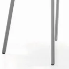 Sedia da Soggiorno Rivestita e Gambe Laccate Made in Italy - Catania Viadurini