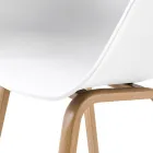 Sedia per Sala da Pranzo in Polipropilene e Metallo 4 Pezzi - Severina Viadurini