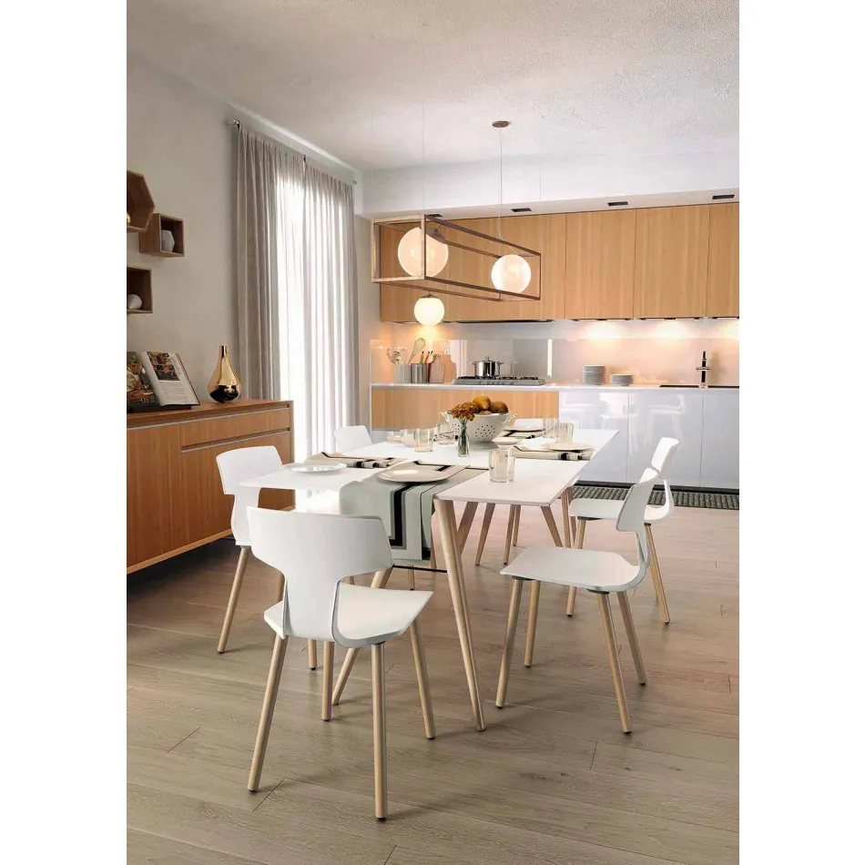 Sedie Sala da Pranzo in Legno e Polipropilene Made in Italy, 2 Pezzi - Clover  Viadurini