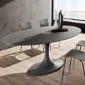 Tavolo da Pranzo con Piano in Vetro Laccato Made in Italy, di Qualità - Brontolo