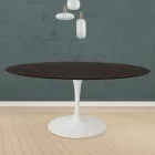 Tavolo Tulip Eero Saarinen H 73 Rotondo in Rovere Tinto Moka Made in Italy - Scarlet Viadurini