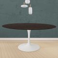 Tavolo Tulip Eero Saarinen H 74 Rotondo in Rovere Tinto Moka Made in Italy - Scarlet