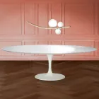 Tavolo Tulip Eero Saarinen H 74 Ovale in laminato Liquido Made in Italy - Scarlet Viadurini
