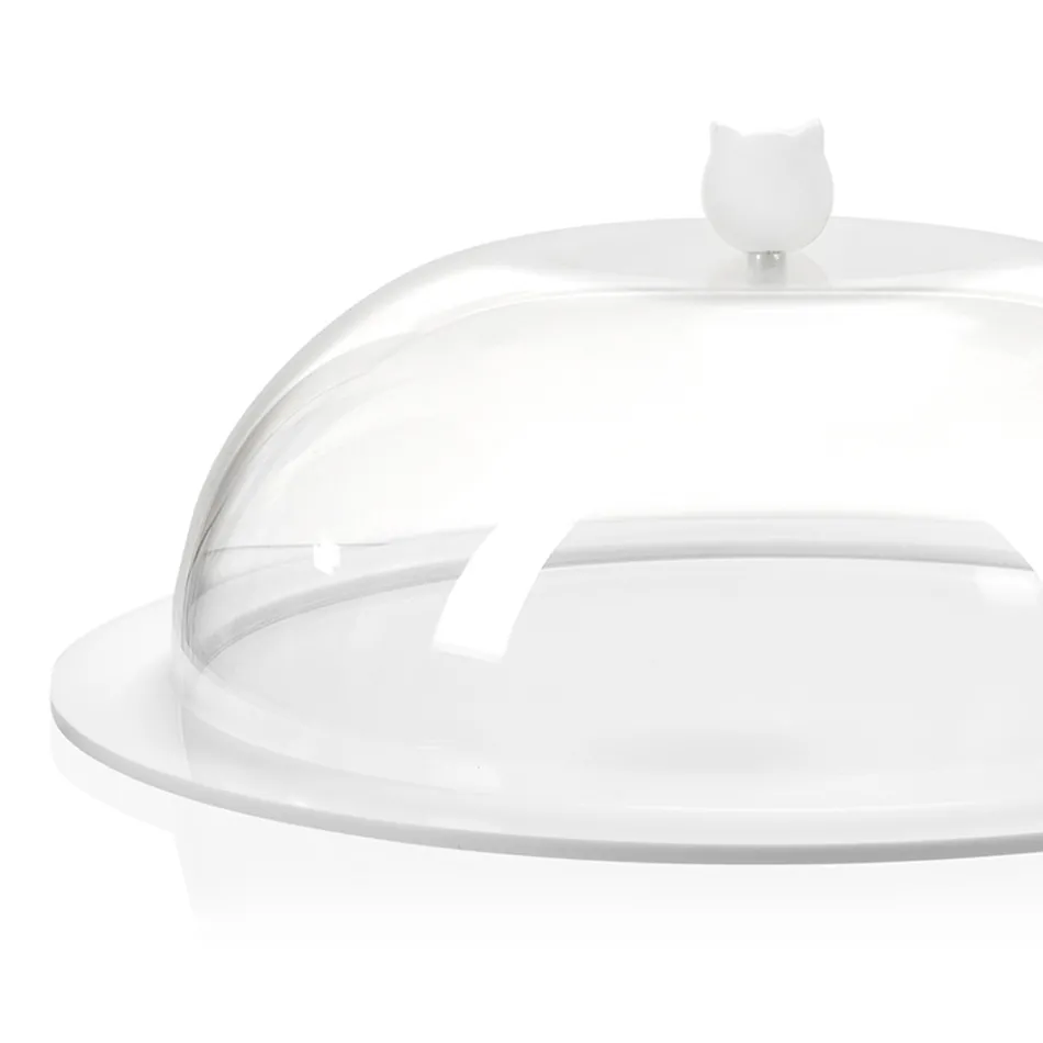 Tortiera Rotonda Plexiglass Trasparente Made in Italy 2 Misure - Crotone Viadurini